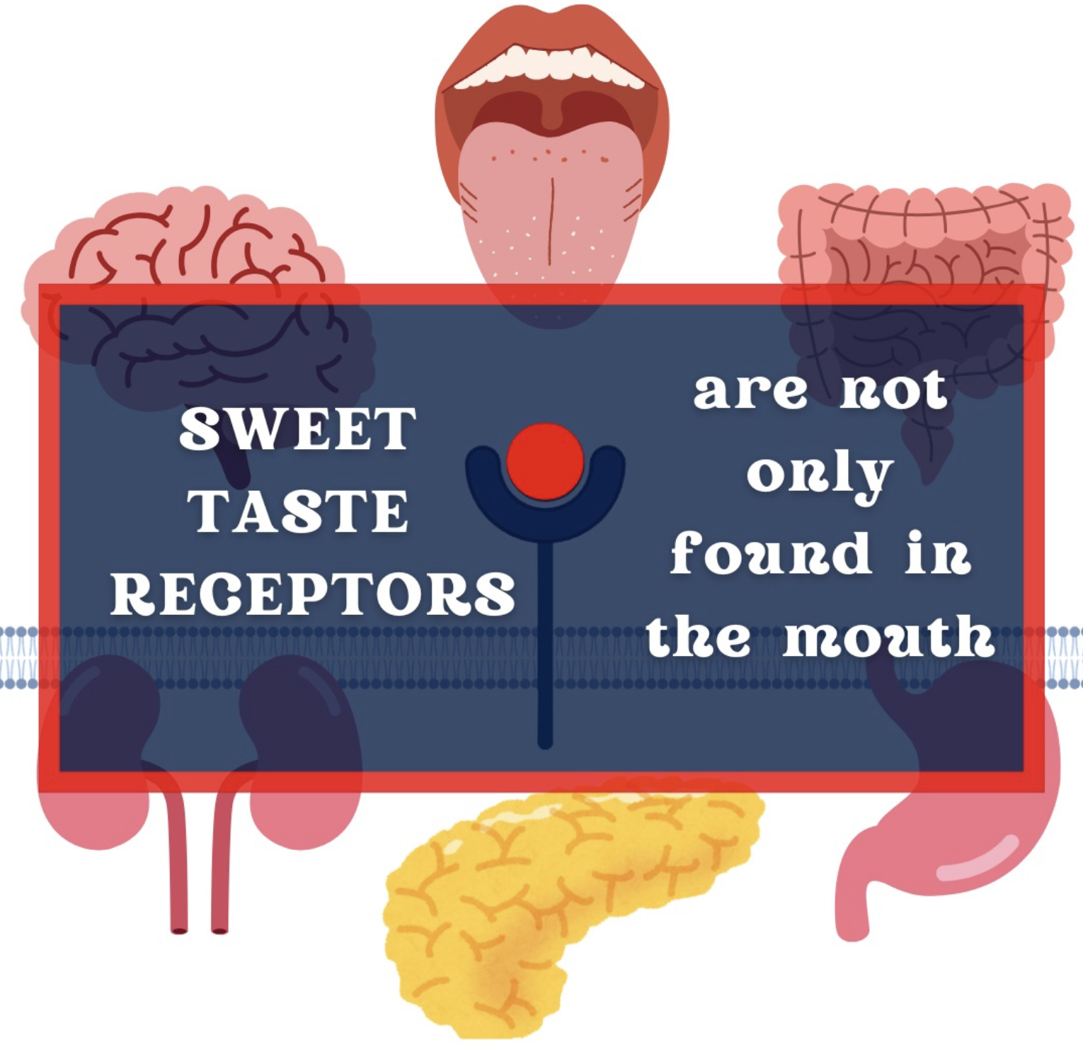 Sweet N Sour